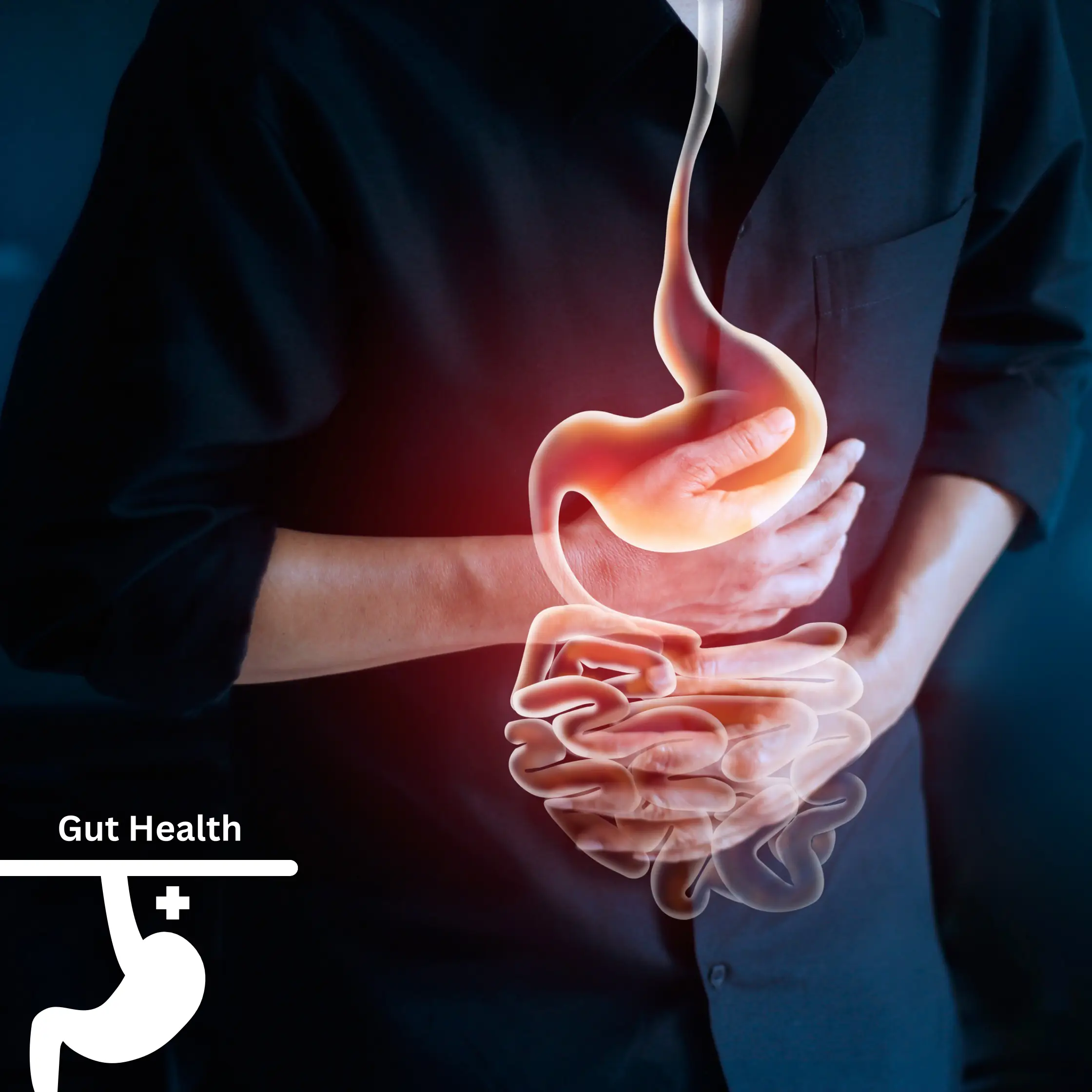 Why Digestive Issues Are Increasing Among Students & IT Workers in Raipur
